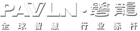 磐龍安全技術(shù)有限公司